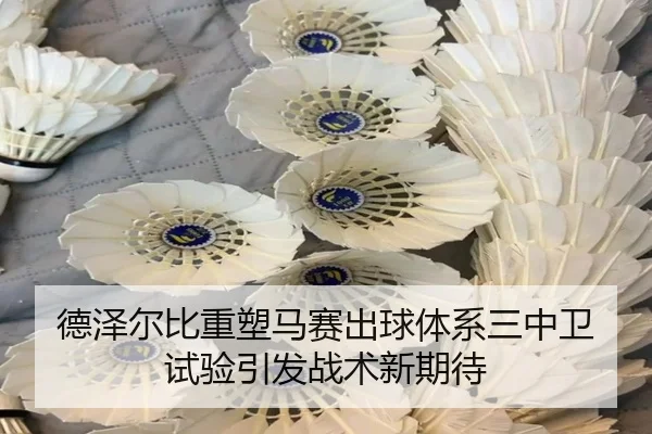 de-ze-er-bi-zhong-su-ma-sai-chu-qiu-ti-xi-san-zhong-wei-shi-yan-yin-fa-zhan-shu-xin-qi-dai-2-249.jpg