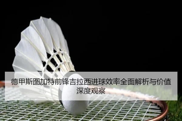 德甲斯图加特前锋吉拉西进球效率全面解析与价值深度观察